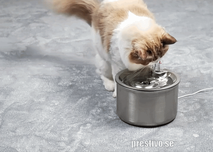 Kattfontän i rostfritt material med utbytbart filter